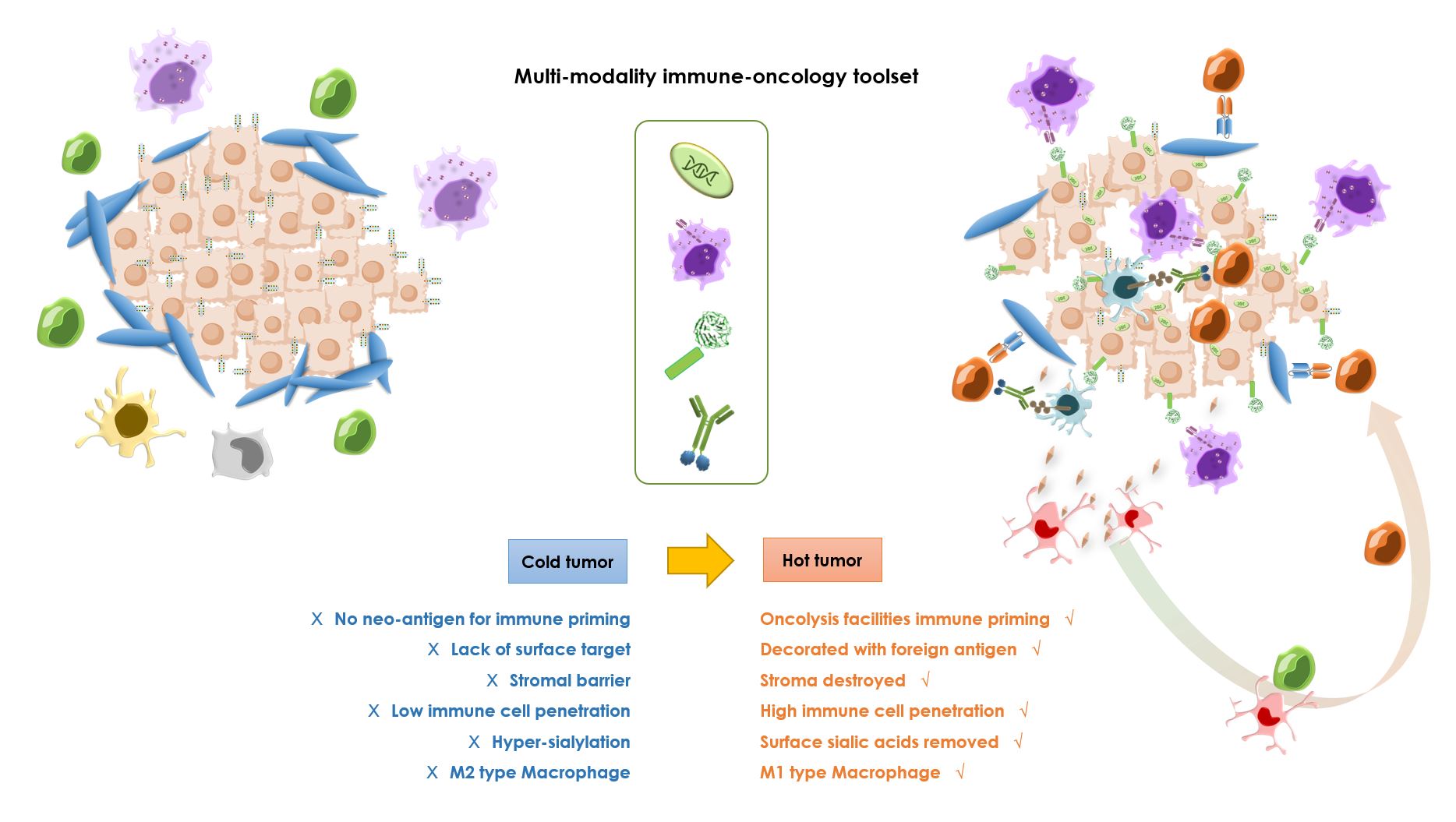 Multi-Modality Immune Oncology Toolset